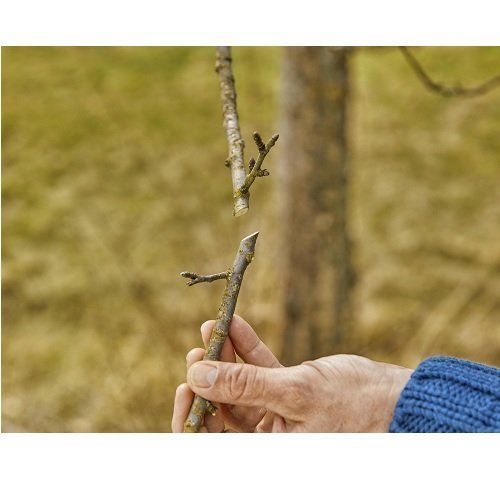 Секатор Gardena ExpertCut обвідний 22 мм 21405 фото