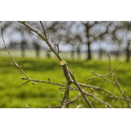 Секатор Gardena ExpertCut обвідний 22 мм 21405 фото
