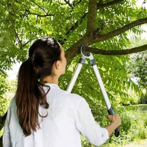 Гілкоріз з наковаленкой Gardena EasyCut 680A 20818 фото